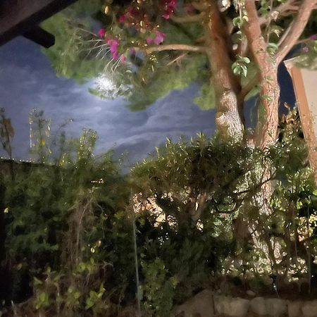 Studio Bandol Avec Jardin Buitenkant foto